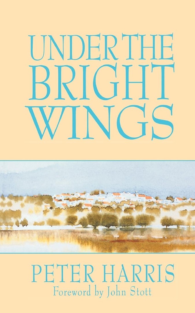 Under the Bright Wings - Re-vived