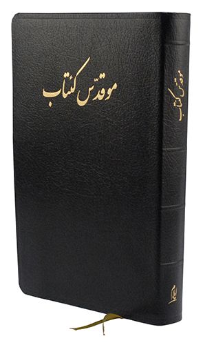 Azeri - The Holy Bible in Iranian - Re-vived