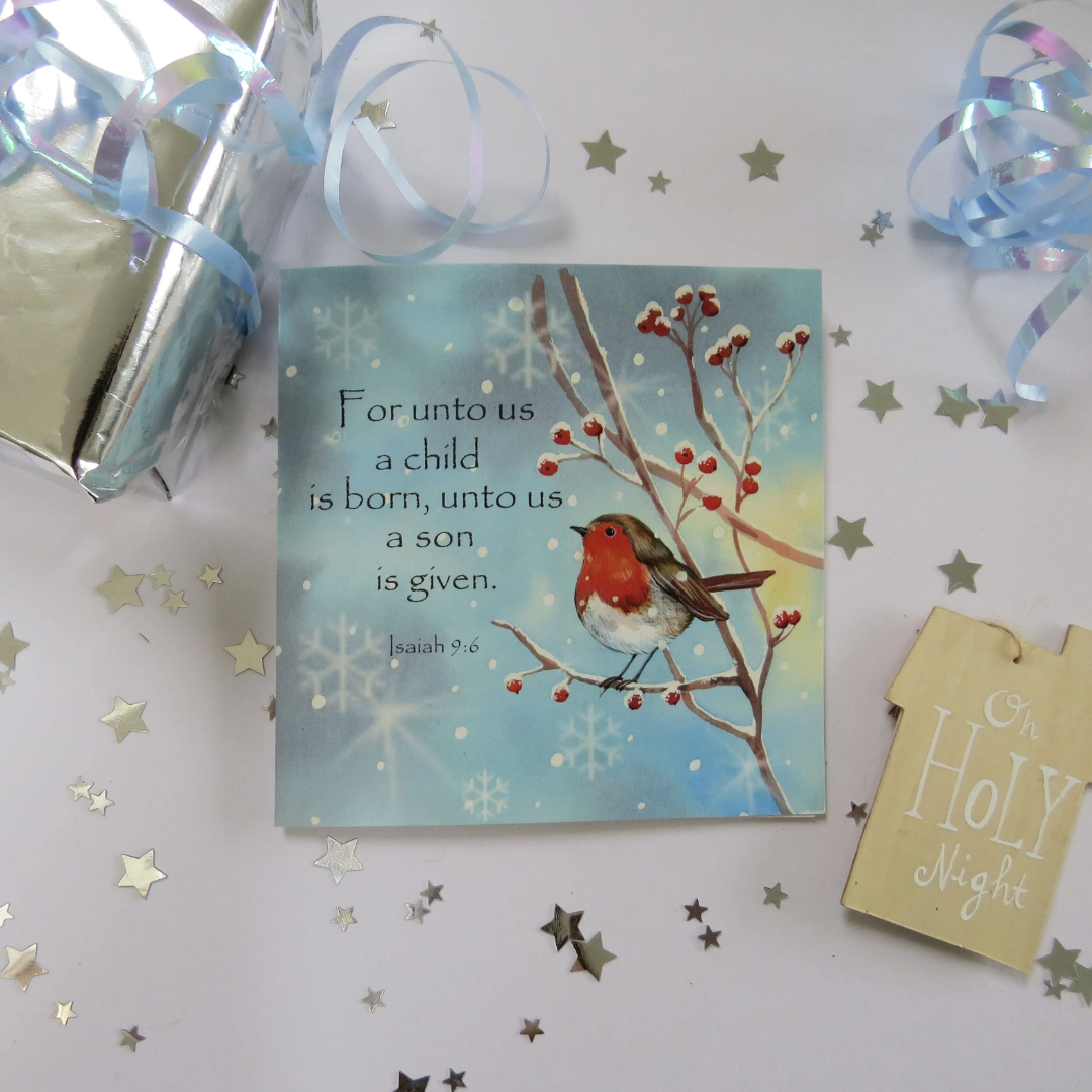 Robin in the Snow Christmas Cards (Pack of 5) – Re-vived