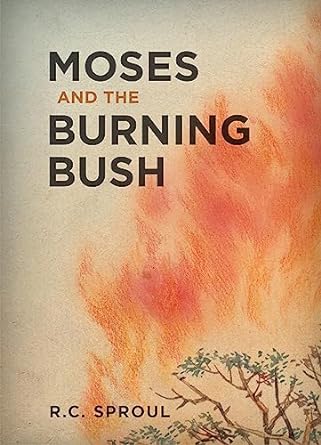 Moses and the Burning Bush - Re-vived