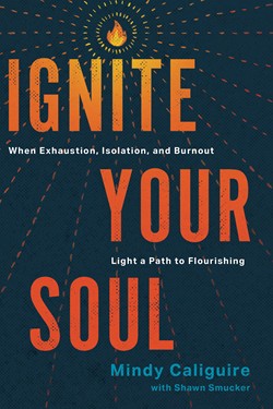 Ignite Your Soul - Re-vived