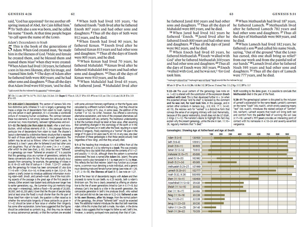 ESV Study Bible  (Trutone, Olive, Branch Design) - Re-vived