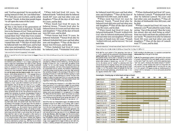 ESV Study Bible  (Trutone, Olive, Branch Design) - Re-vived
