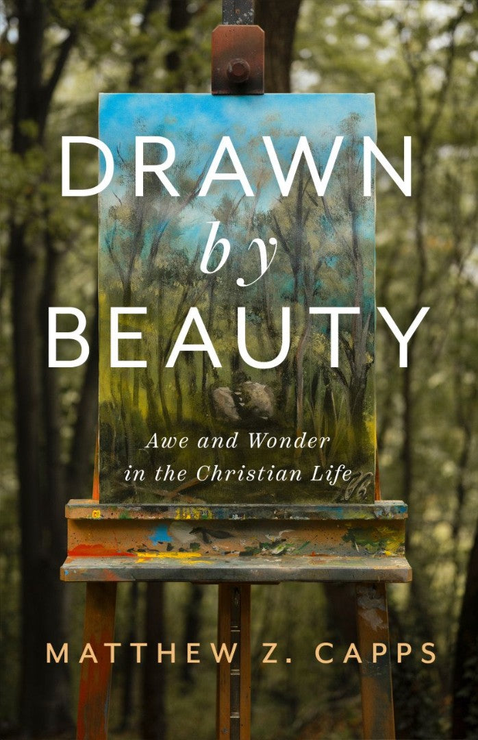 Drawn By Beauty - Re-vived