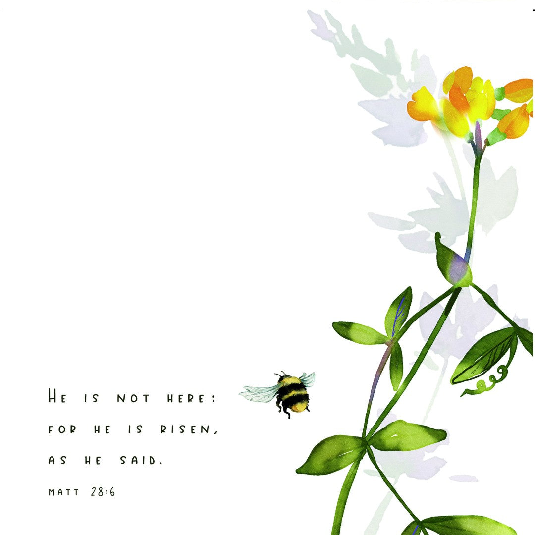 Easter Blessings - May The Joy Of A Risen Saviour - Greeting - Re-vived