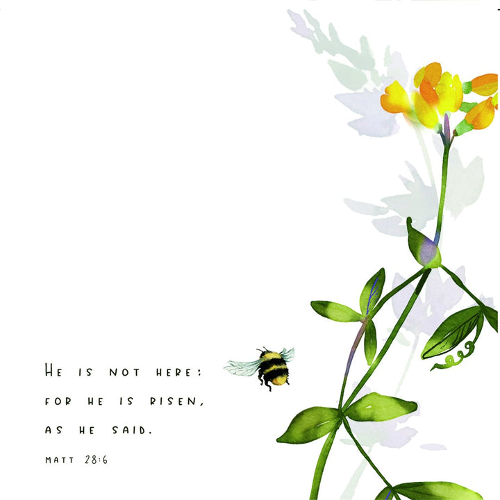 Easter Blessings - May The Joy Of A Risen Saviour - Greeting - Re-vived