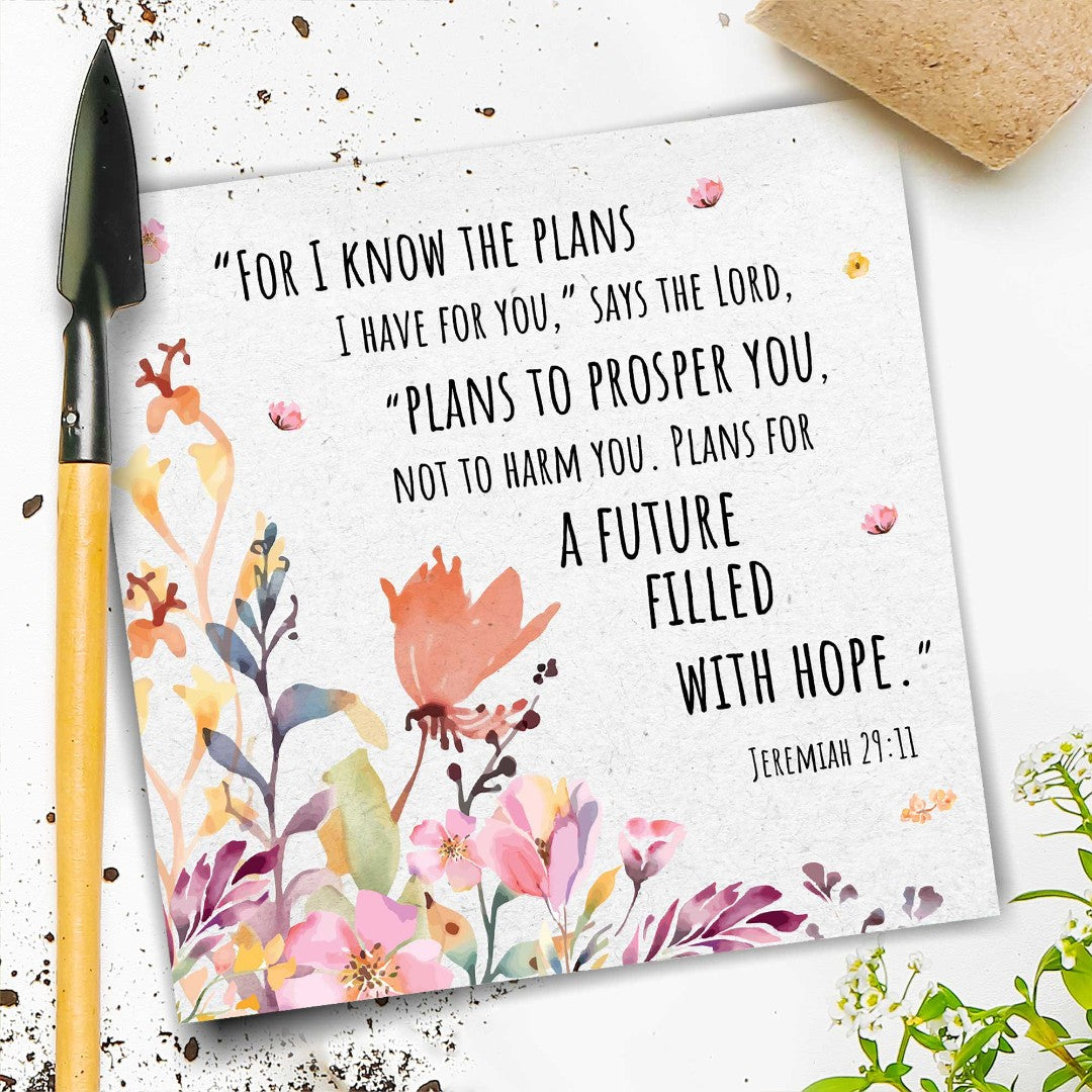 I Know The Plans Seeded Card