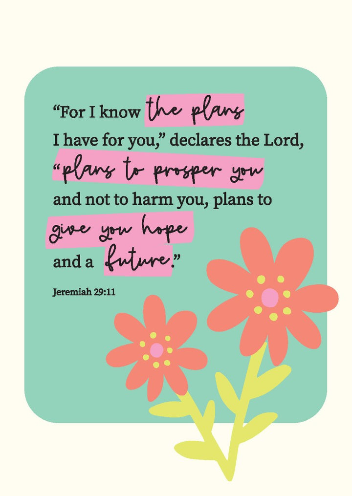 The Wee Sparrow Mixed Pack Of 12 Postcards