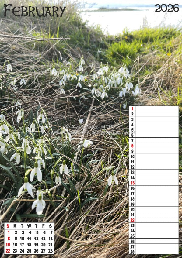 Holy Island Moments 2026 Wall Calendar