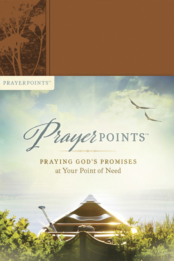 Prayerpoints - Re-vived