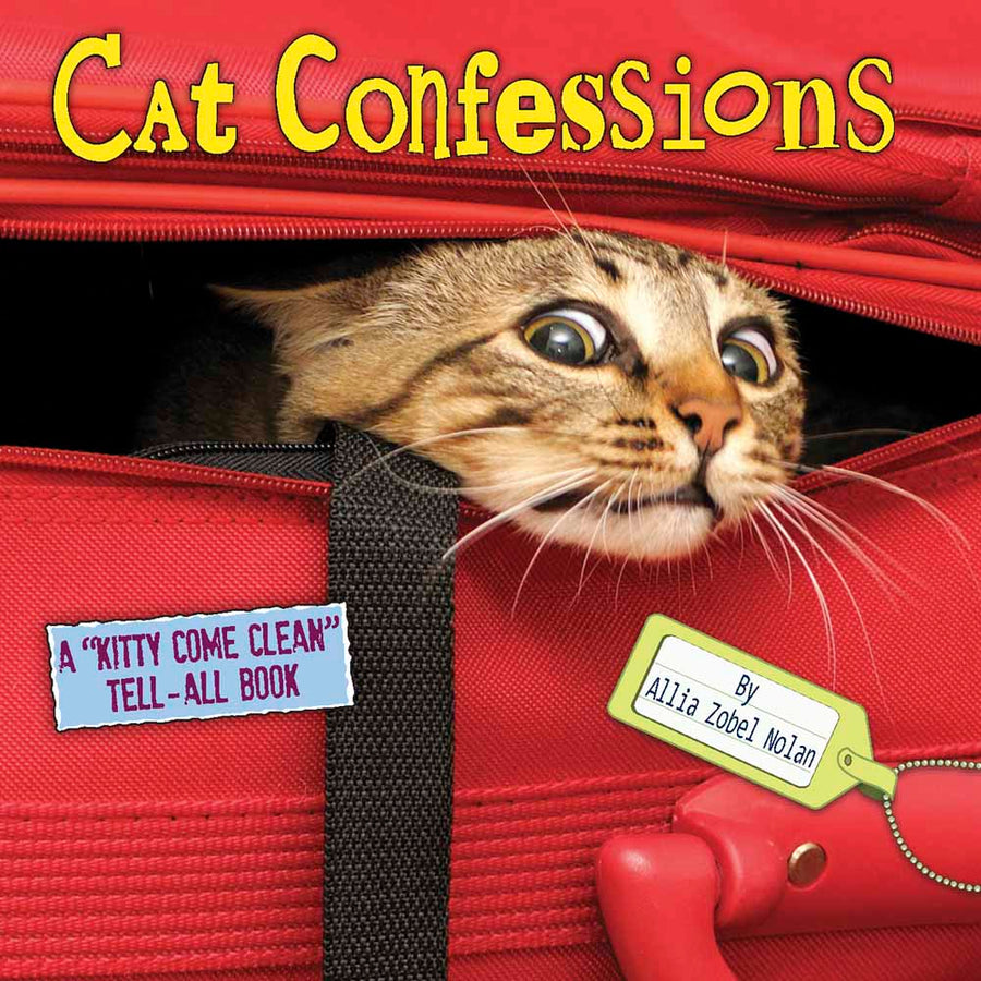 Cat Confessions - Re-vived
