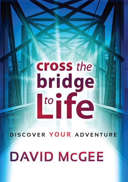 Cross The Bridge To A Better Life - Re-vived
