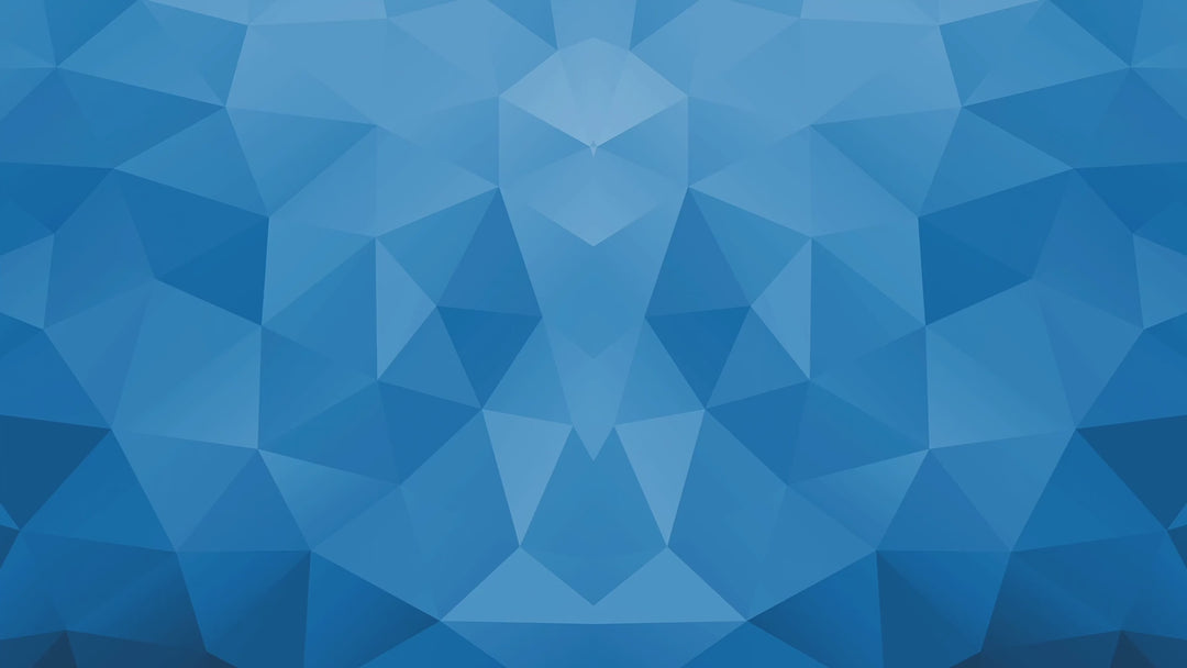 The Action Bible: Faith In Action Edition