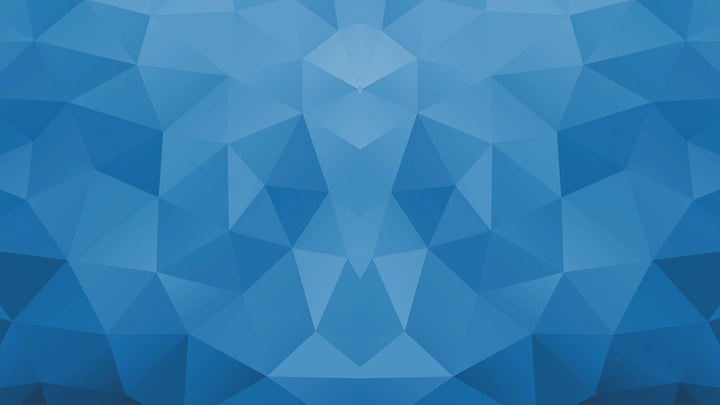 The Action Bible: Faith In Action Edition