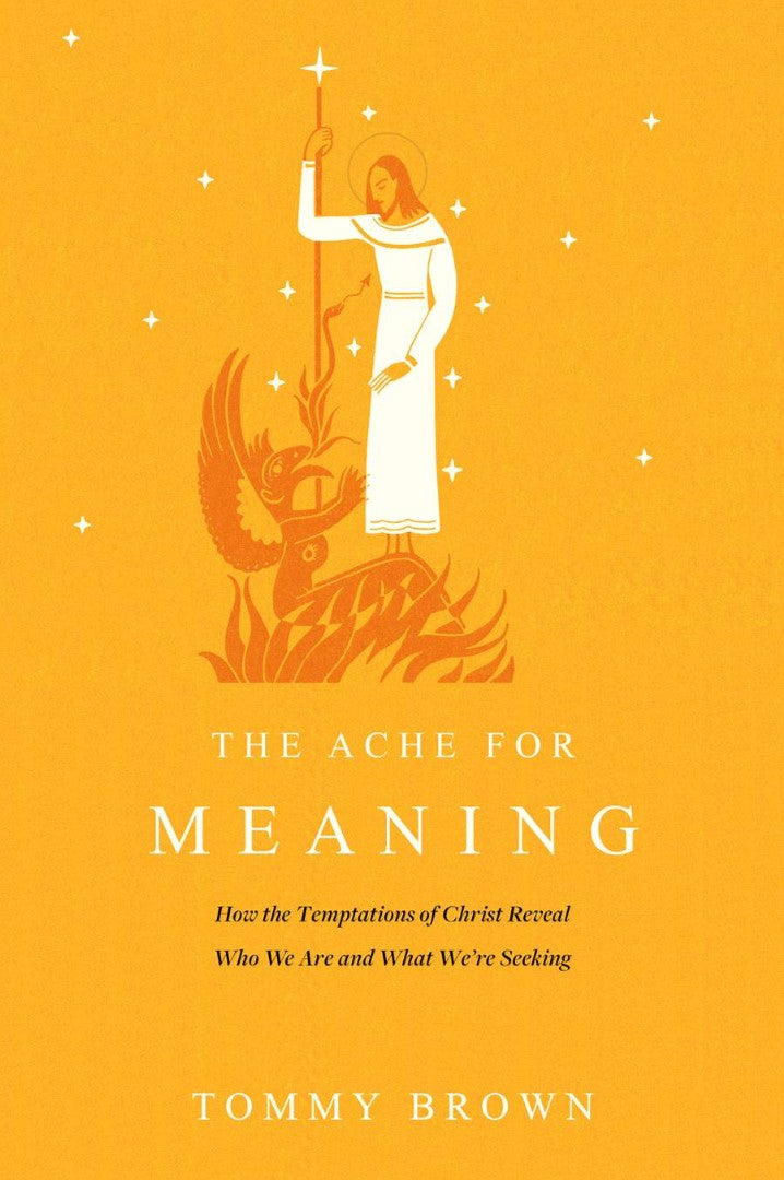 The Ache For Meaning - Re-vived