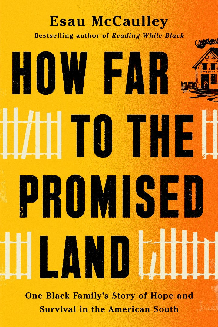 How Far to the Promised Land - Re-vived