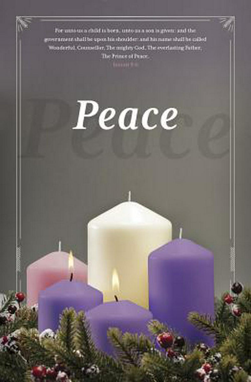 Advent Peace Bulletin (Pack of 100)