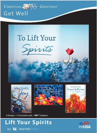 Life Your Spirits Get Well Boxed Cards (pack of 12) - Re-vived