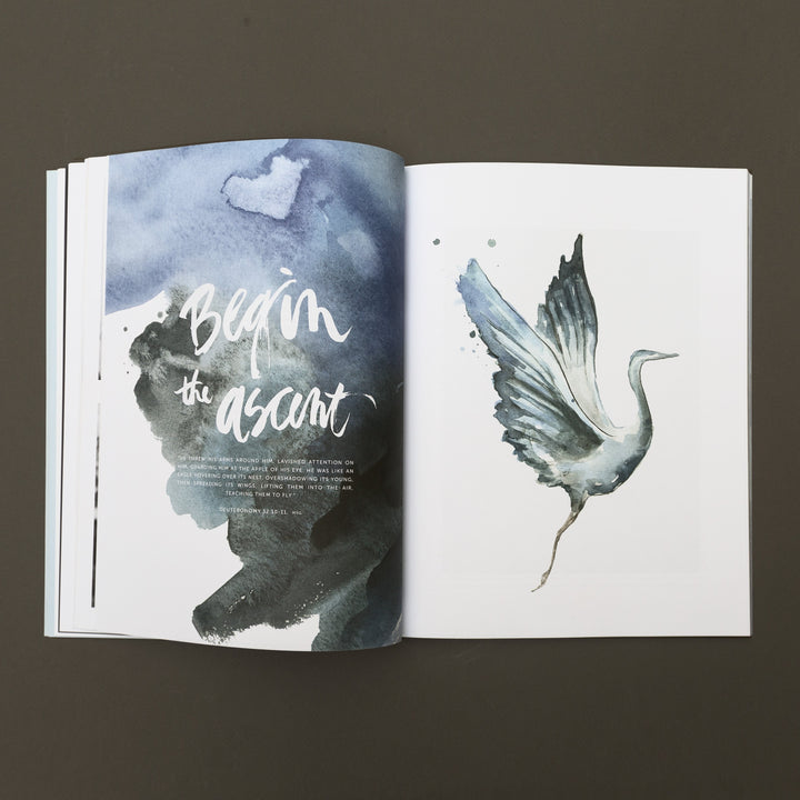 Cultivate, Volume III - Re-vived