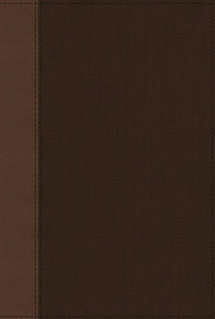 NRSV Cultural Backgrounds Study Bible, Tan/Brown - Re-vived