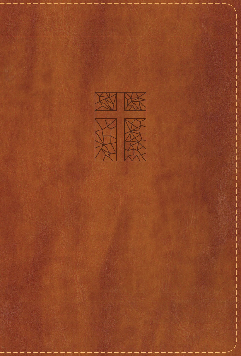 A NRSV Single-Column Reference Bible, Brown