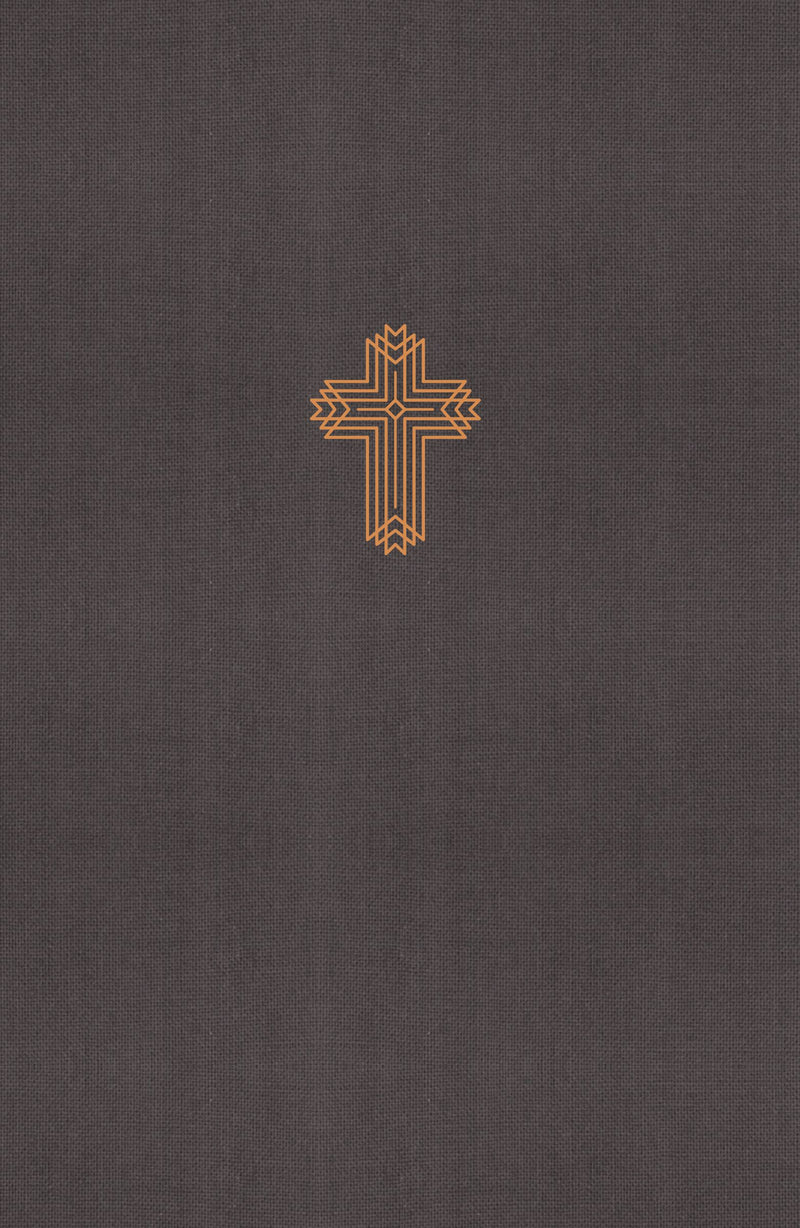 NRSV Catholic Bible, Journal Edition, Gray, Comfort Print