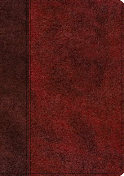 ESV Study Bible (TruTone, Burgundy/Red, Timeless Design - Re-vived