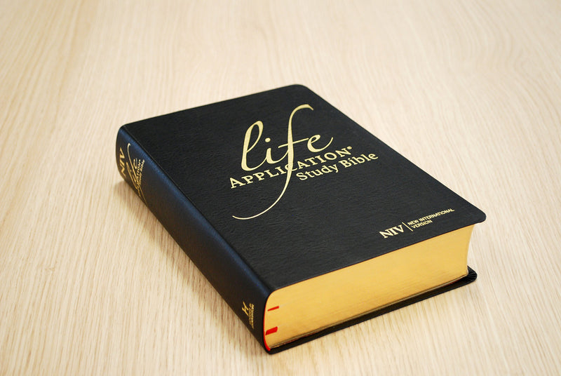 NIV Life Application Study Bible (Anglicised) Leather - Re-vived