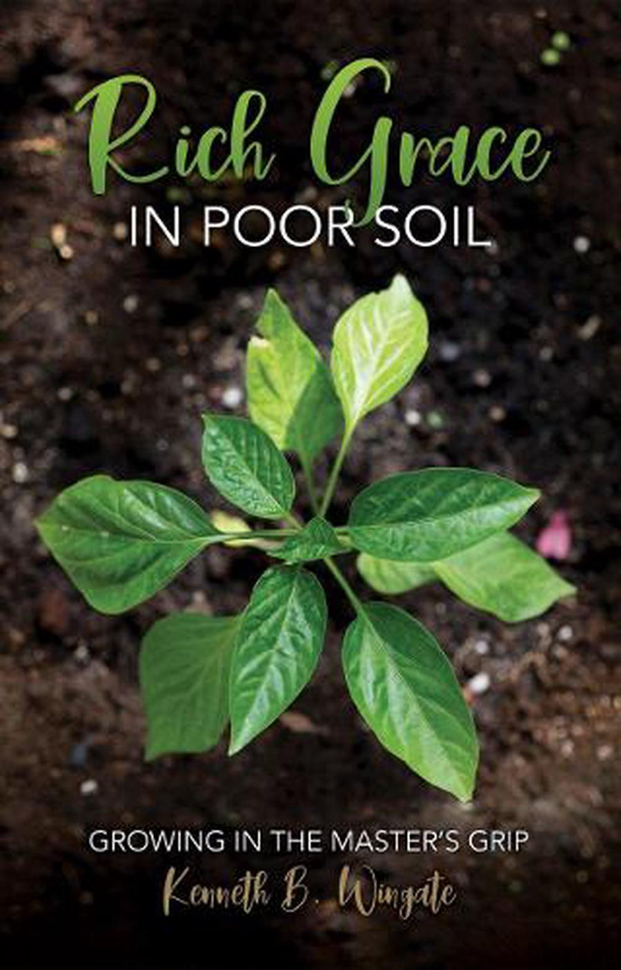 Rich Grace in Poor Soil - Re-vived