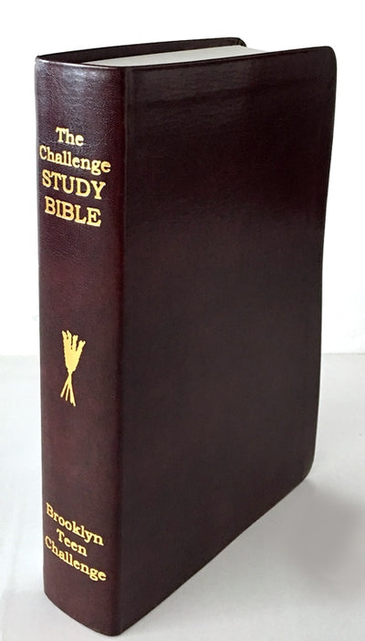 CEV Challenge Study Bible-Flexi Cover - Re-vived