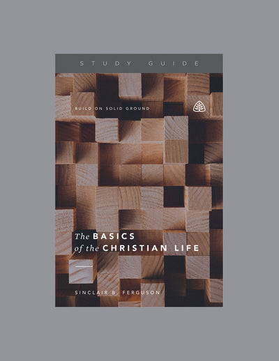 The Basics of the Christian Life - Re-vived