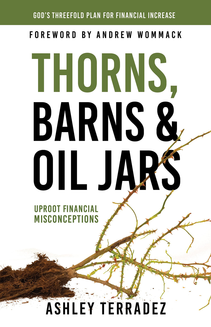 Thorns, Barns, and Oil Jars - Re-vived