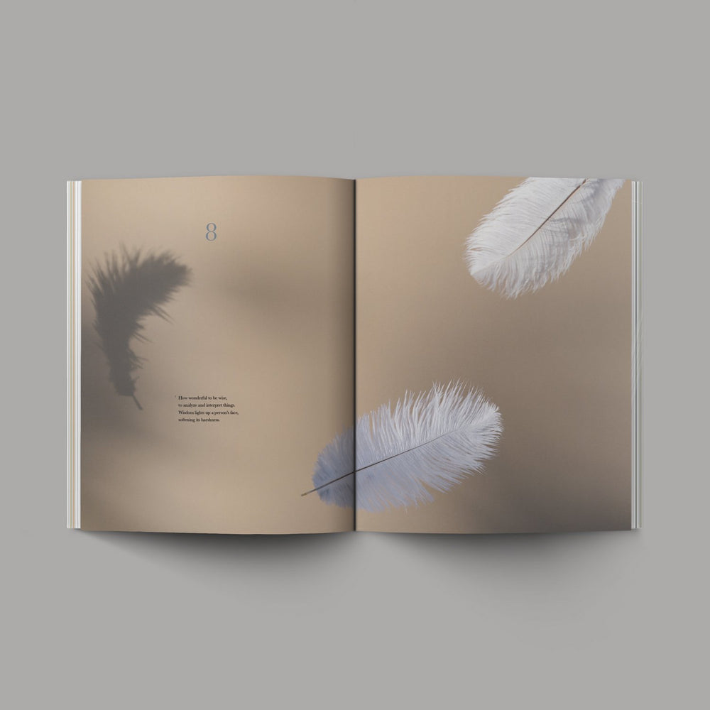 Book of Ecclesiastes - Re-vived