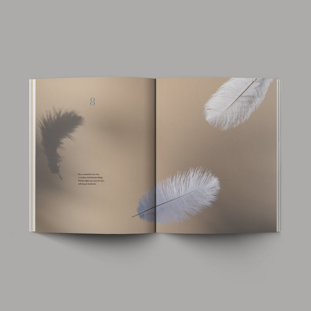 Book of Ecclesiastes - Re-vived