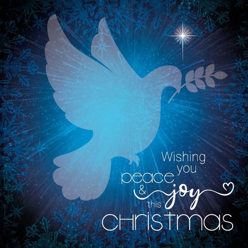 Blue Dove Christmas Card (pack of 10)