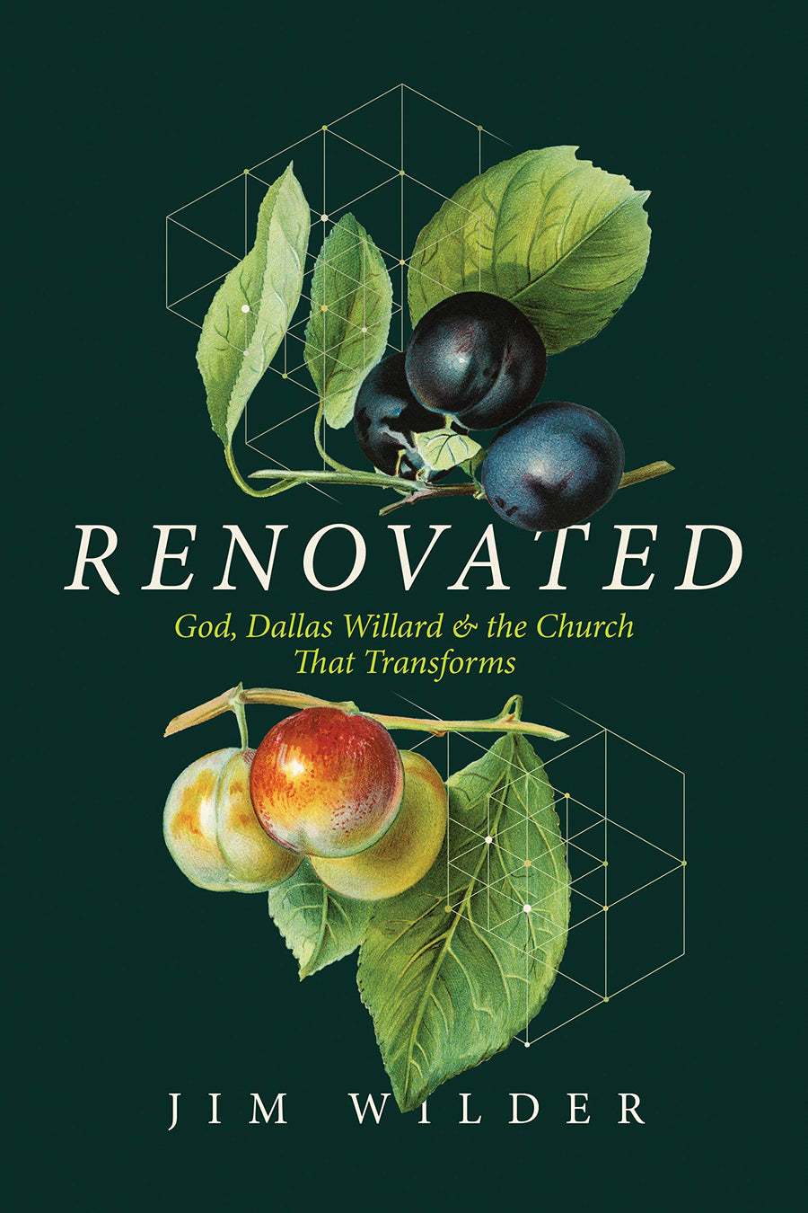 Renovated - Re-vived