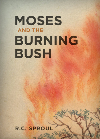 Moses And The Burning Bush - Re-vived