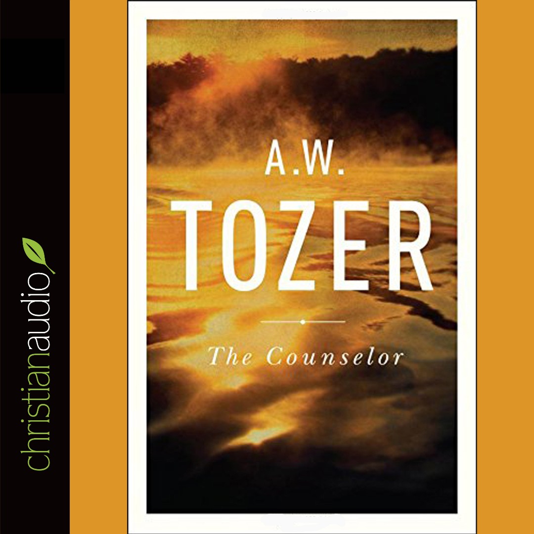 The Counselor CD