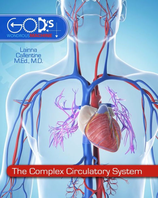The Complex Circulatory System - Re-vived