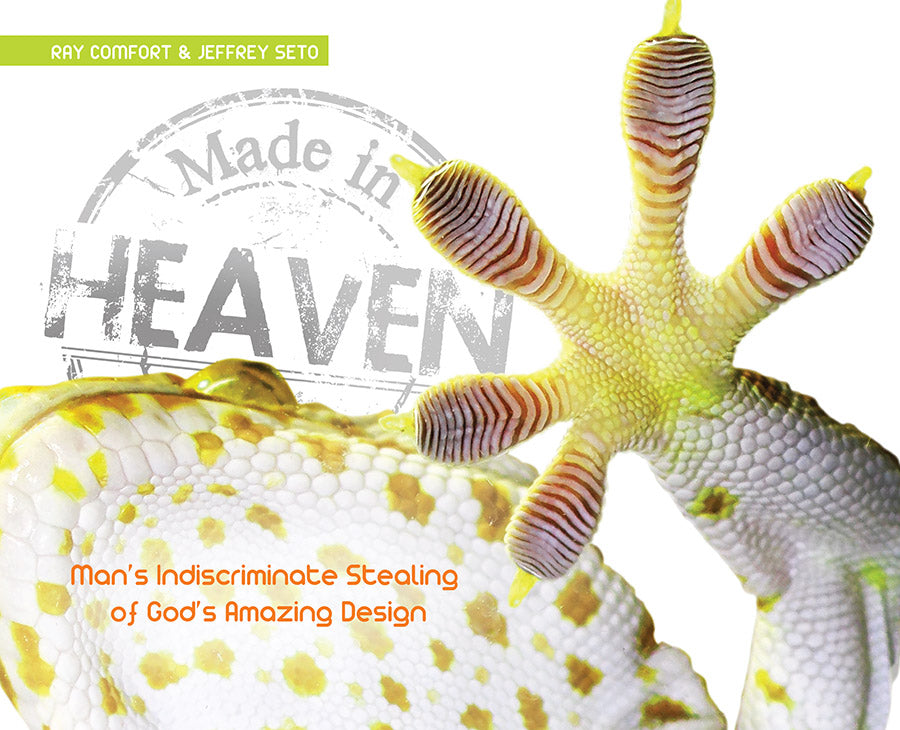 Made In Heaven - Re-vived