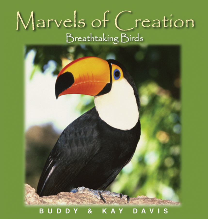 Marvels Of Creation: Breathtaking Birds - Re-vived