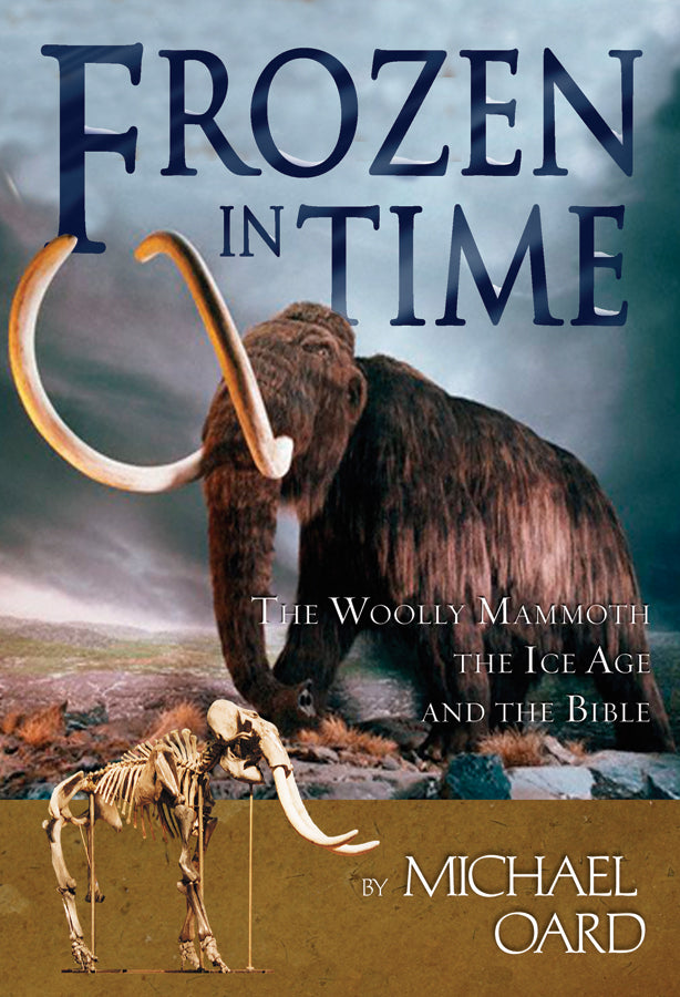 Frozen In Time - Re-vived