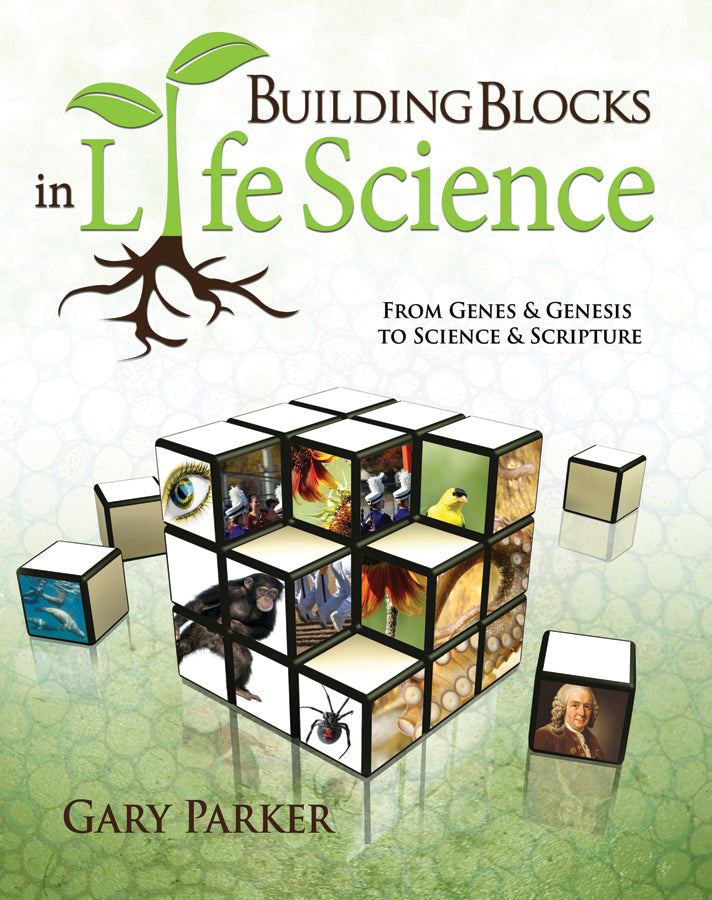 Building Blocks In Life Science