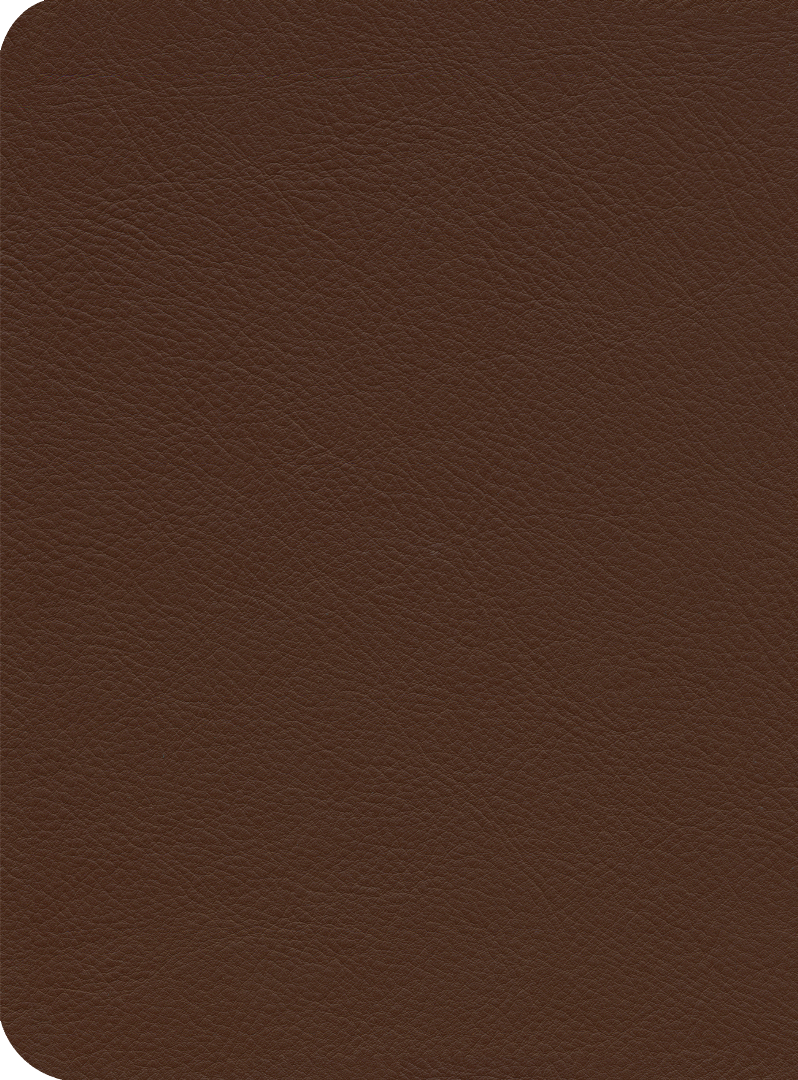 ESV Reformation Study Bible, Brown
