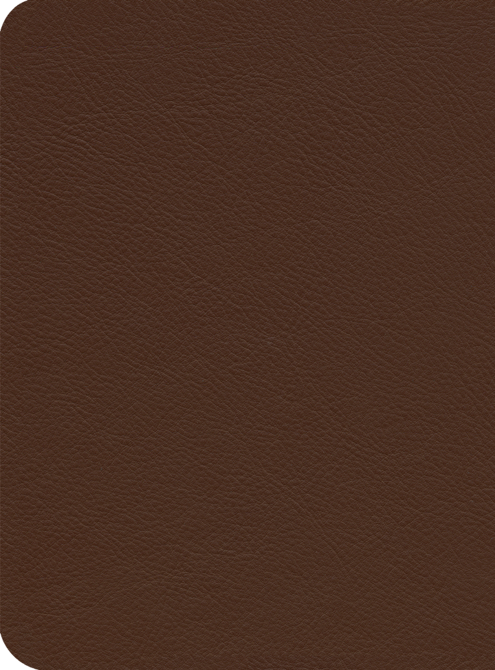 ESV Reformation Study Bible, Brown