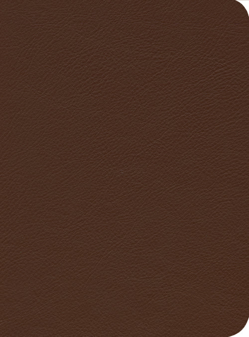 ESV Reformation Study Bible, Brown
