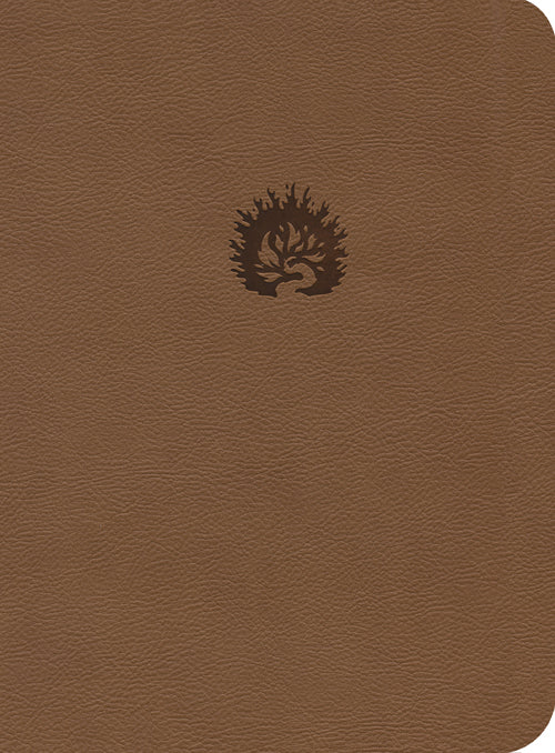 ESV Reformation Study Bible LL Light Brown