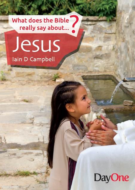 What Does the Bible Really Say About Jesus?