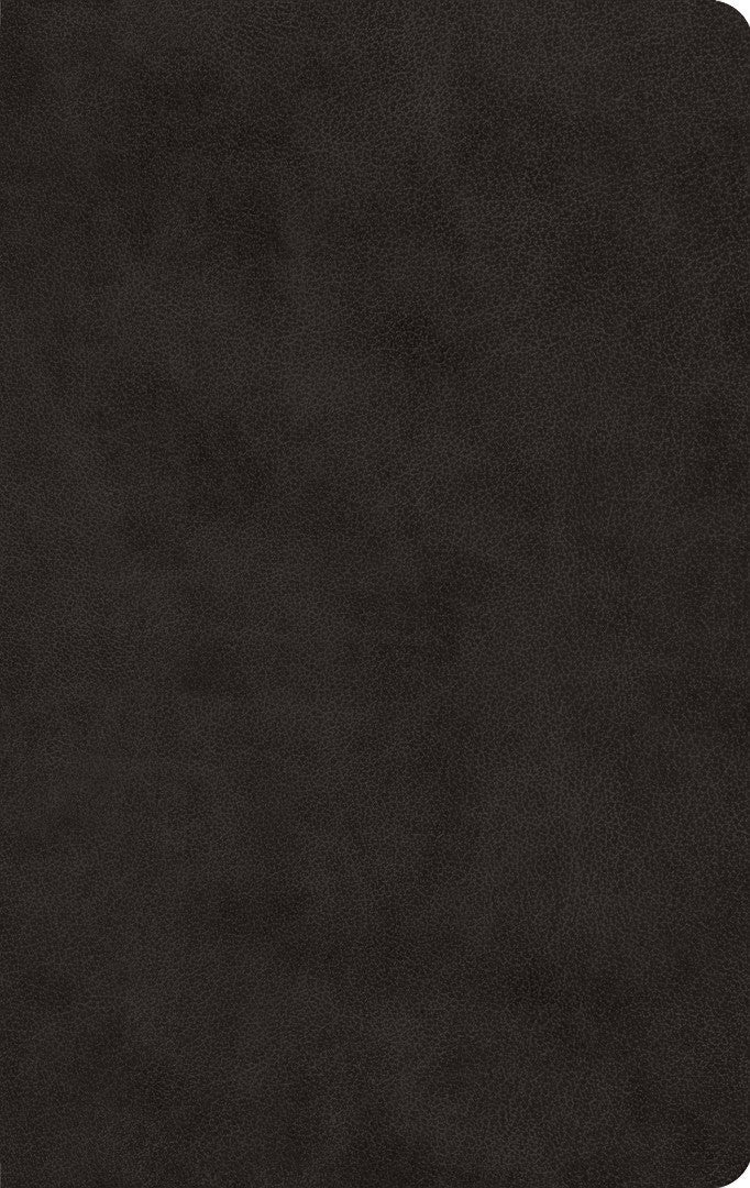 ESV Large Print Value Thinline Bible Trutone, Black