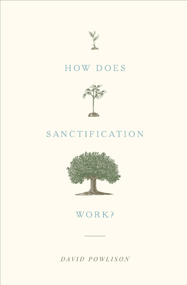 How Does Sanctification Work?